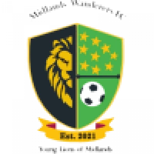 Мидлендс Уондерерс