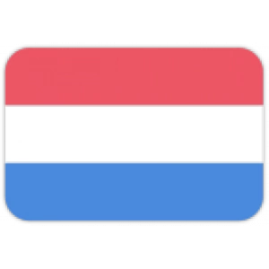 Нидерланды до 20