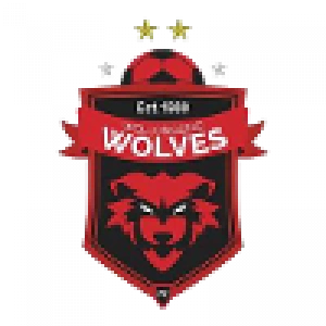 Воллонгонг Вулвз до 20