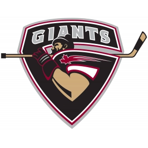 Ванкувер Джайентс