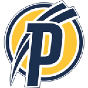 Пушкаш Академия до 19