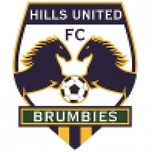 Хиллс Брамби до 20