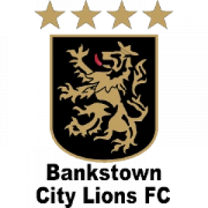 Бэнкстаун Сити Лайонс до 20
