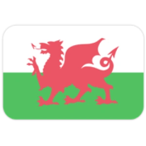 Уэльс U19 (Қ)