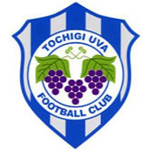 Хитачи Точиги Ува