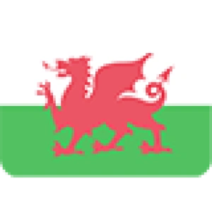 Уэльс U19