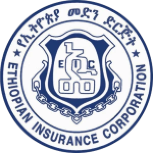 Эфиопиан Медхин