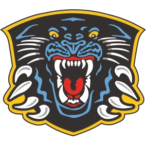 Ноттингем Пантерс