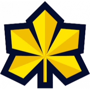 Киев Кэпиталс