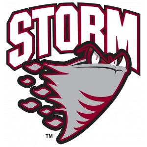 Гуэлф Сторм