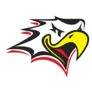 Ваасан Спорт