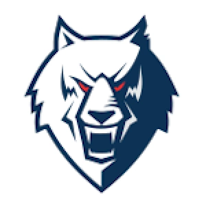 Нефтехимик