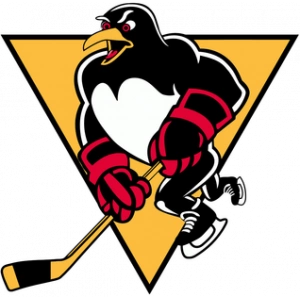 Уилкс-Барре/Скрентон Пенгвинс