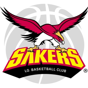 Эл Джи Сэйкерс