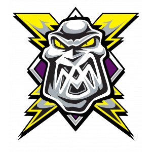 Манчестер Сторм