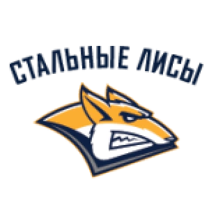 Стальные Лисы