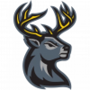 Айова Хартлендерс