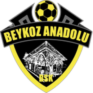 Бейкоз Анадолуспор