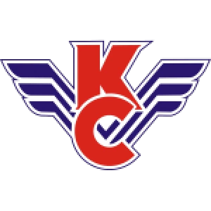 Крылья Советов