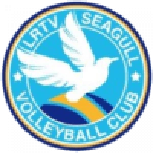 Ляонинг Хуачен Авто (Ә)