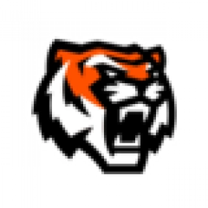 Амурские Тигры