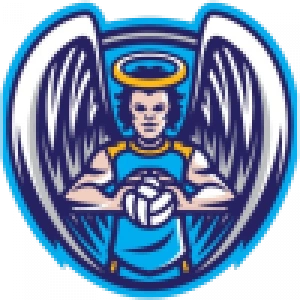 Аниолы Торунь