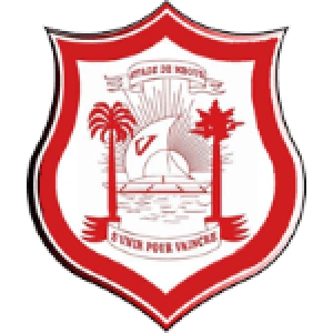 Стад де Мбур