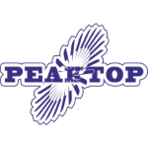 Реактор Нижнекамск