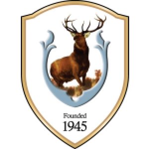 Тампинс Роверс