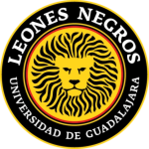 Леонес Негрос