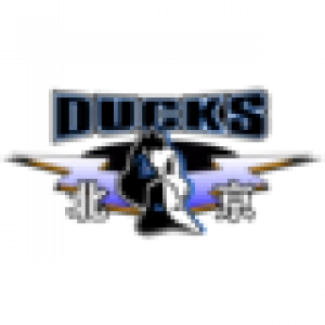 Бейджинг Дакс