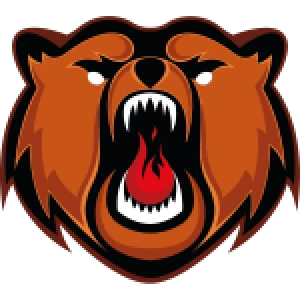 Кузнецкие Медведи