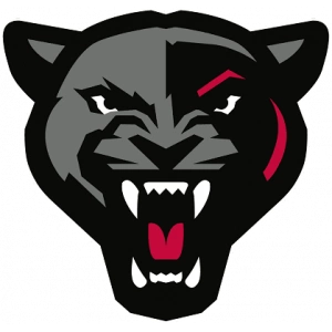 Поважска Быстрица