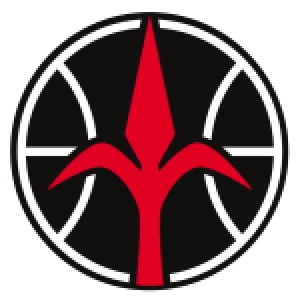 Ацегас Триест