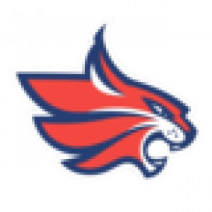 Красноярские Рыси