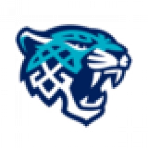 Снежные Барсы