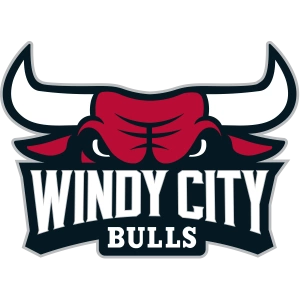 Винди Сити Буллз