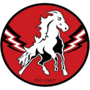 Вита Хастен