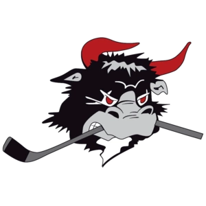 Редовре Майти Буллз