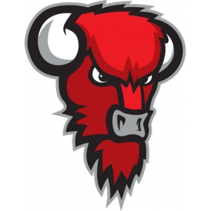 Бизонз Лоайма