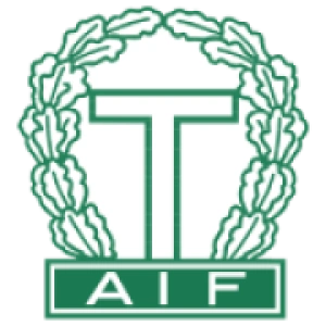 Тингсридс U20