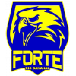 Форте U20